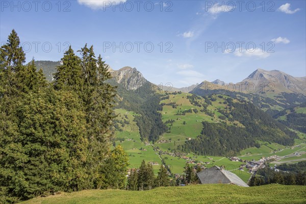Alpine landscape with green meadows, villages and wooded mountains under a blue sky, mountain