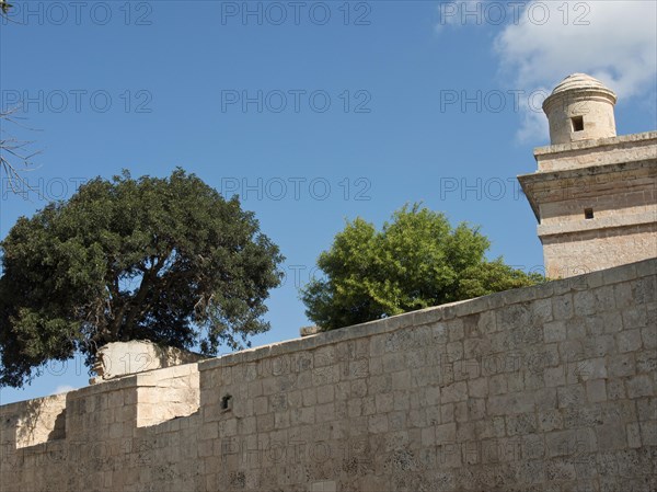 Old stone wall with trees growing on it and a tower in the background under a blue sky, the town of