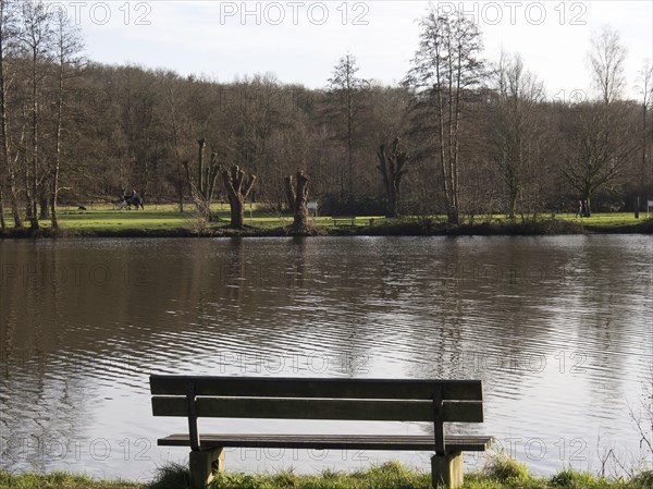 Wooden bench overlooking tranquil lake, reflecting the surrounding trees, small lake with hiking