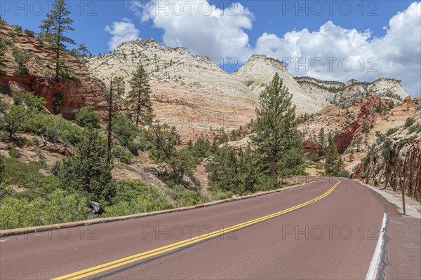 Patterns of erosion on the rocky mountainside along the Zion Park Boulevard in Zion National Park,