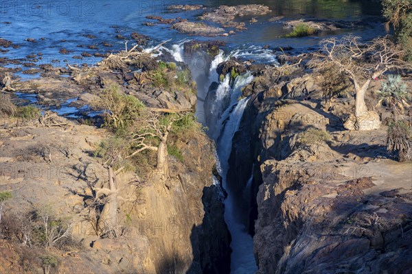 Kunene River, waterfall and African Baobab (Adansonia digitata), in the evening light, Epupa Falls,