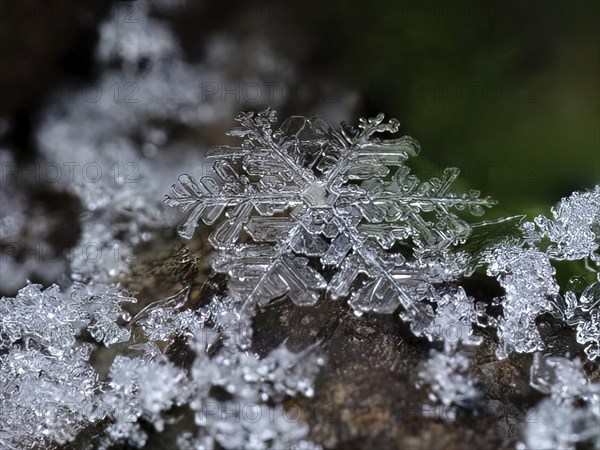 Detailed close-up of a snowflake in its complex structure