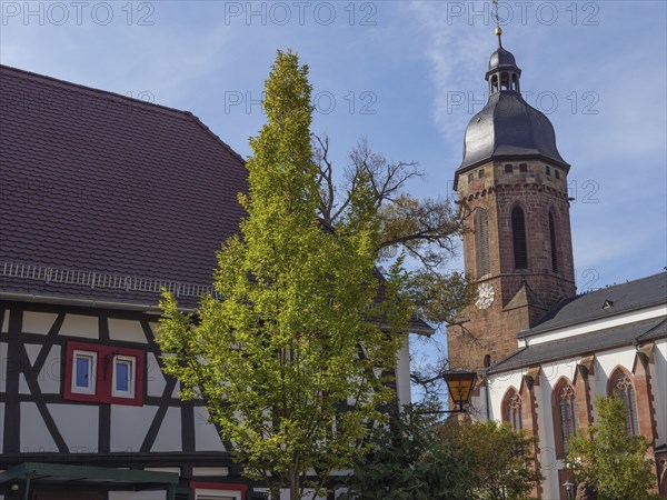A half-timbered house with a tree in the foreground and a church with gothic architecture in the