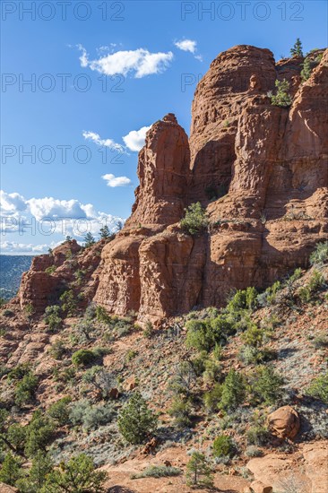 Red rock sandstone formations of Sedona, Arizona, United States of America, USA, North America