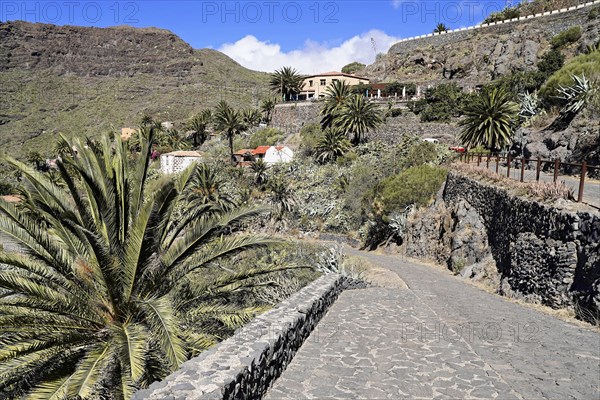 Mountain village Masca, Masca Gorge, Montana Teno Mountains, Tenerife, Canary Islands, Spain,
