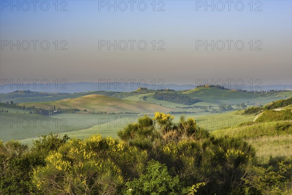 Crete Senesi, Province of Siena, Tuscany, Italy, Europe