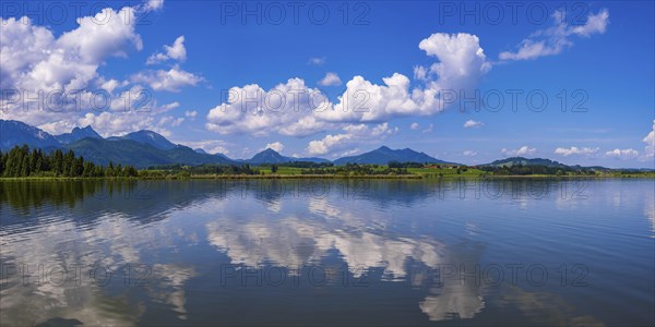 Lake Hopfensee, near Fuessen, Ostallgaeu, Allgaeu, with the Allgaeu Alps behind it, Bavaria,