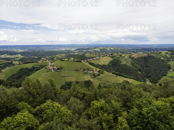 Hilly landscape, vineyards, view from the Demmerkogel lookout point, St. Andrae-Hoech, Sausal wine
