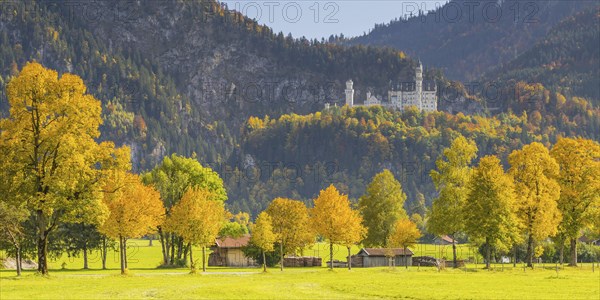 Neuschwanstein Castle near Hohenschwangau, Romantic Road, Ostallgaeu, Bavaria, Germany, Europe