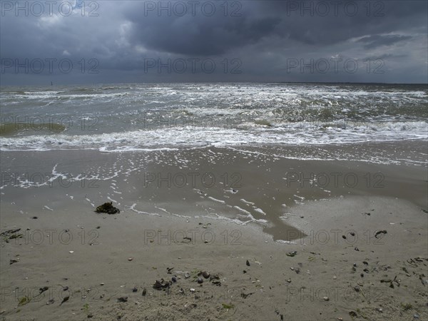 Restless waves on a sandy beach under a cloudy sky. The sea looks impetuous and agitated, view of