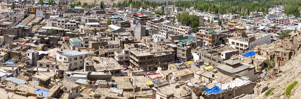 Sea of houses in Leh, Ladakh, Jammu and Kashmir, India, Asia