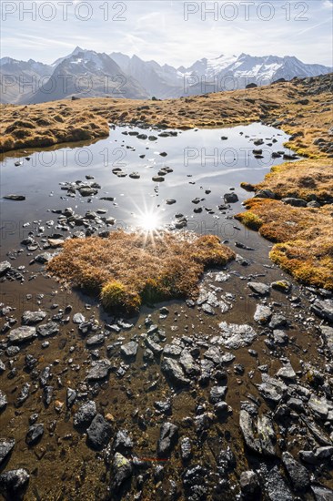 Small lake on the high plateau of the Gurgler Seenplatte, glaciated mountain peaks in the
