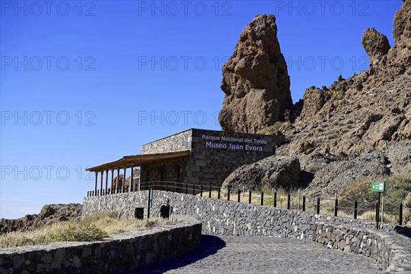 On the way to Mount Teide, El Teide, Pico del Teide, volcano in the Teide National Park on
