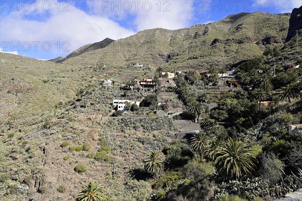 Mountain village Masca, Masca Gorge, Montana Teno Mountains, Tenerife, Canary Islands, Spain,