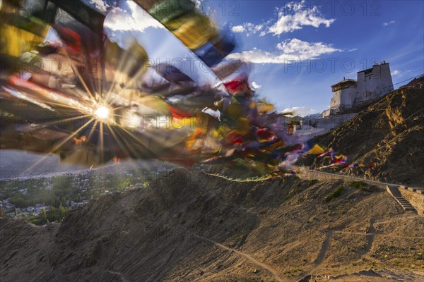 Namgyal Tsemo Gompa Monastery, Tsenmo Hills, Leh, Ladakh, Jammu and Kashmir, India, Asia