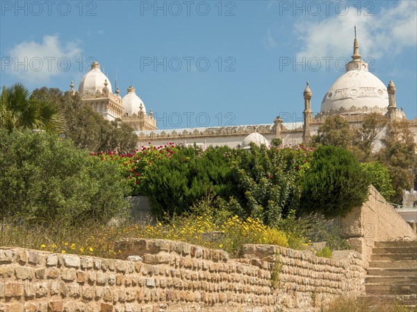 Historic buildings with large domes surrounded by gardens under a blue sky, Tunis in Africa with