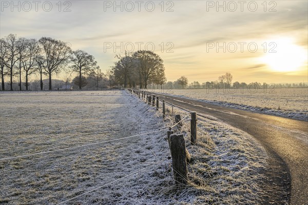 Rural winter landscape at sunrise with icy road and frozen fields, Frosty winter time in the early