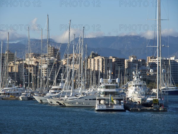 Marina with boats and skyscrapers against a mountain backdrop, palma de mallorca on the