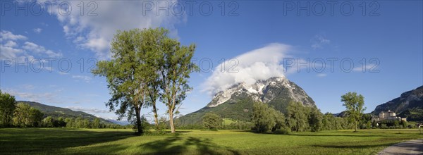 Trees in a meadow, Grimming mountain range in the morning light, panoramic shot, near Irdning,