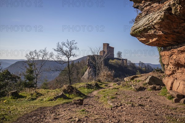 View of Trifels Castle, from Engels Landing rock, with the young tower in autumn at sunset.