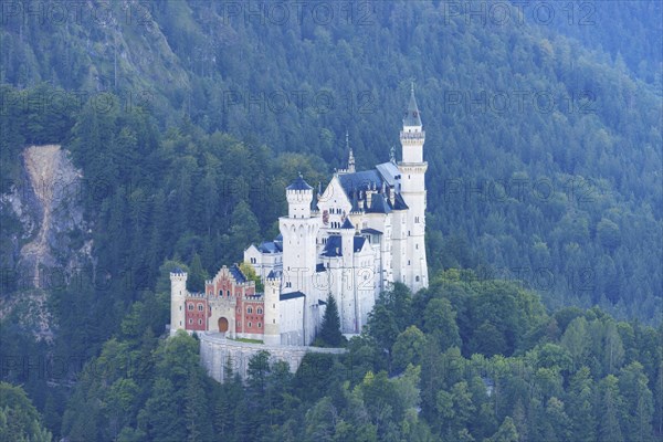 Neuschwanstein Castle near Hohenschwangau, Romantic Road, Ostallgaeu, Bavaria, Germany, Europe