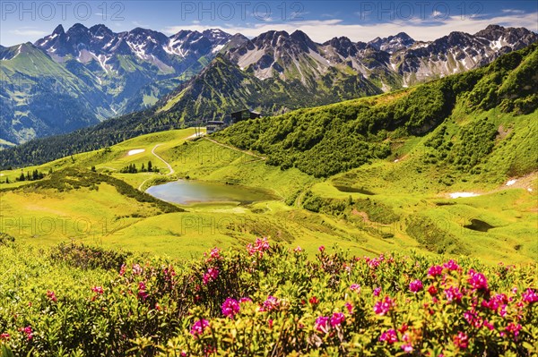 Alpine rose blossom, panorama from the Fellhorn over the Schlappoldsee and mountain station of the