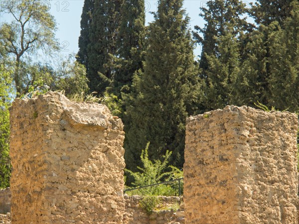 Ancient ruins with trees in the background, under bright sunshine and clear sky, Tunis in Africa