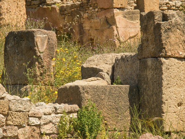 Ancient ruins made of stones, partly overgrown with plants in a natural environment, Tunis in