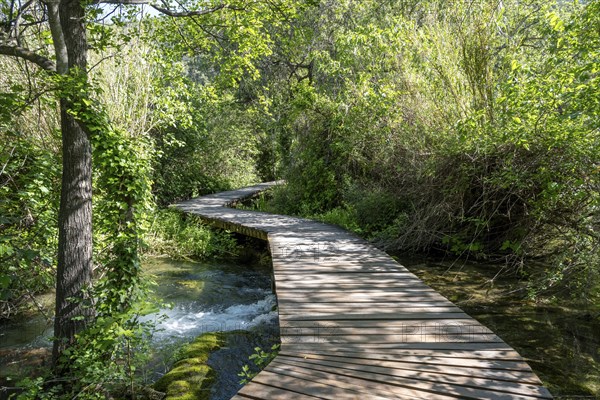 Wooden footbridge in Krka National Park, Krka Waterfalls, Dalmatia, Croatia, Europe