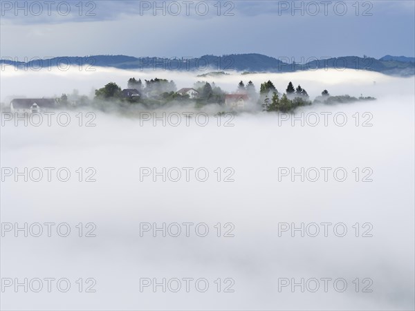Morning fog over the village of Frauenberg, view from Silberberg, near Leibnitz, Styria, Austria,