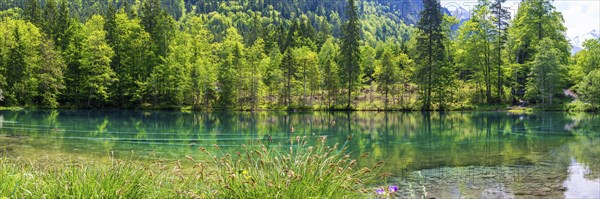 Christlessee, a mountain lake in the Trettachtal valley, near Oberstdorf, Oberallgaeu, Allgaeu,