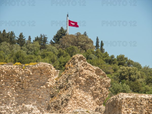 Remains of an ancient wall with waving flag and surrounding trees, Tunis in Africa with ruins from