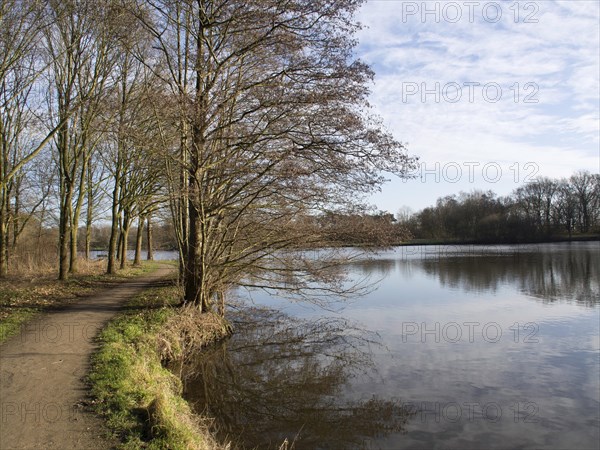 Path along a lake with bare trees, reflections in the water and a blue sky, small lake with hiking