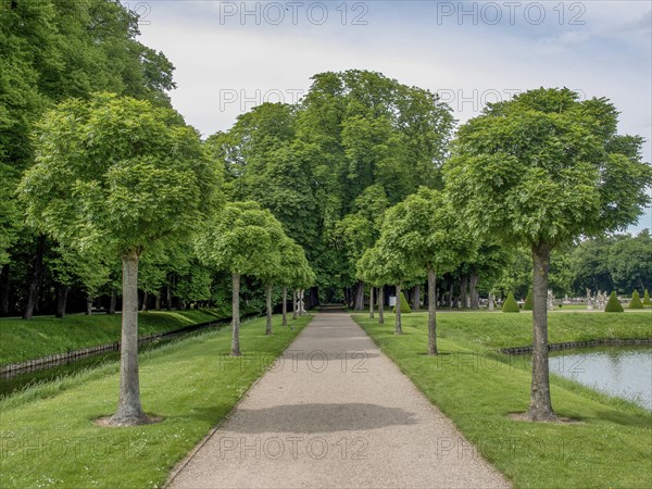 Tree avenue with a path in a green park, blue sky in summer, historic castle with a green park with