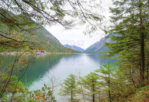 Landscape of a clear lake (Plansee) in autumn in Tirol