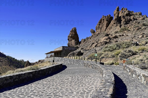 On the way to Mount Teide, El Teide, Pico del Teide, volcano in the Teide National Park on