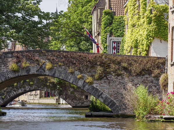 Historic stone bridge over a quiet canal, surrounded by green trees and ivy, historic city by the
