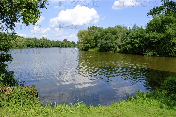 A natural lake with an overgrown shore and surrounded by green vegetation under a blue sky, small