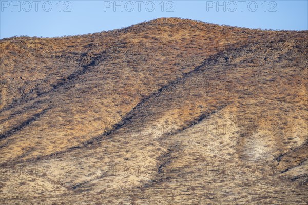 Dry red and white hills in the evening light, Epupa, Kaokoveld, Kunene, Namibia, Africa