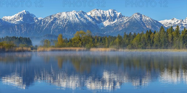 Morning atmosphere at the Hopfensee, near Fuessen, Ostallgaeu, Allgaeu, behind the Allgaeu Alps,