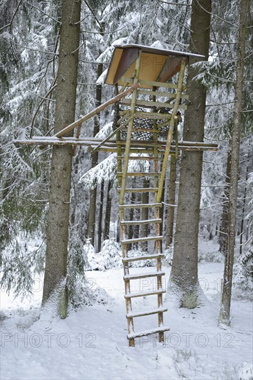 A wooden treehouse with a ladder in a snowy forest surrounded by tall trees, Bavaria