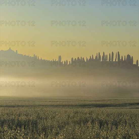 Sunrise in the Crete Senesi, Province of Siena, Tuscany, Italy, Europe