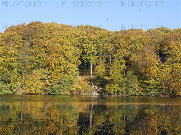Autumn colours of the forest are reflected in the calm water surface of a lake, ideal for a