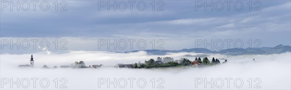 Church rises out of the morning mist, Frauenberg pilgrimage church, panoramic view, near Leibnitz,
