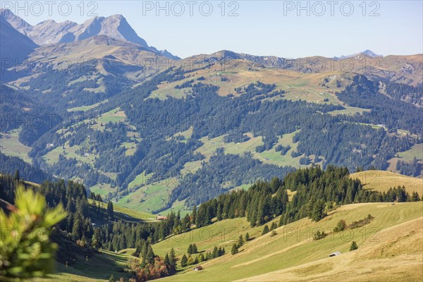 Green forests and meadows under a clear blue sky, surrounded by high mountains, mountain panorama