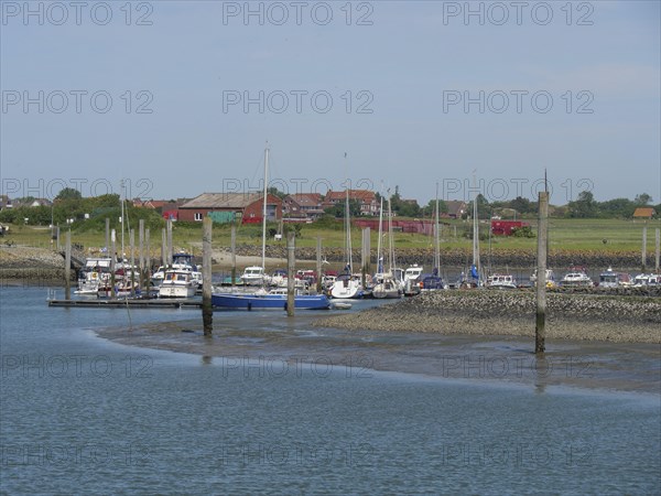Harbour with many boats moored at jetties, surrounded by a picturesque landscape, Baltrum Germany