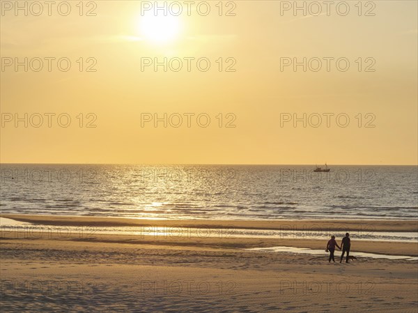 A family walks on the beach during a warm sunset, the sea is calm, sunset on the beach of de haan