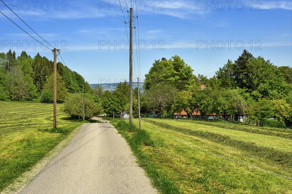 Foehn sky and narrow road with wooden electricity pylons, Allgaeu, Bavaria, Germany, Europe