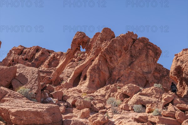 Elephant Rock natural sandstone arch at Valley of Fire State Park near Overton, Nevada, United