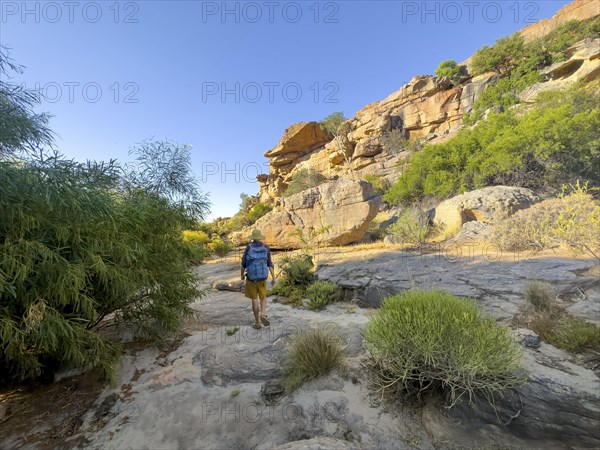 Hikers on the Seville Art Rock Trail, dry landscape with yellow rocks, Cederberg Mountains, near